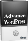 Advance WordPress in Hindi